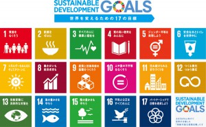 SDGS